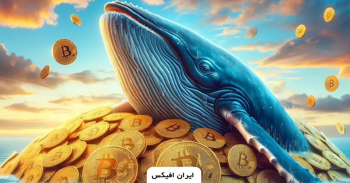 خبر